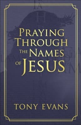 Tapa de PRAYING THROUGH THE NAMES OF JESUS