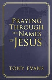 Tapa de PRAYING THROUGH THE NAMES OF JESUS