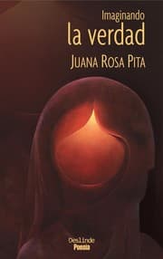 Tapa de Imaginando la verdad