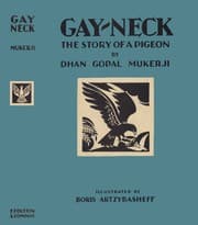 Tapa de Gay-Neck, the story of a pigeon