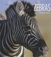 Tapa de Zebras