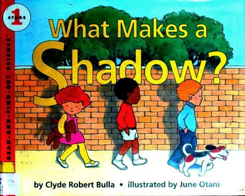 Tapa de What makes a shadow?