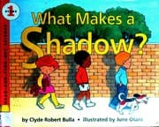 Tapa de What makes a shadow?