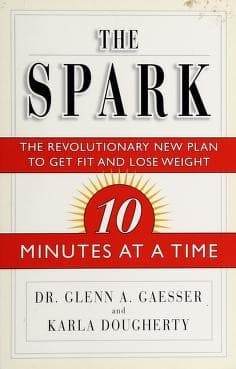 Tapa de The spark