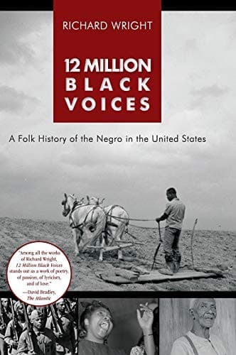 Tapa de 12 Million Black Voices