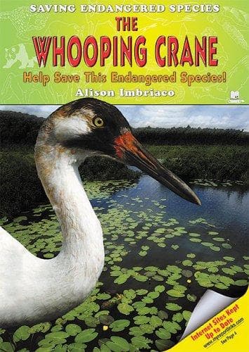 Tapa de The whooping crane