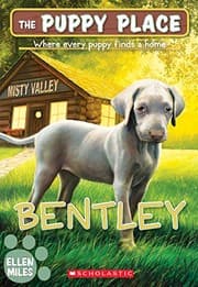 Tapa de Bentley