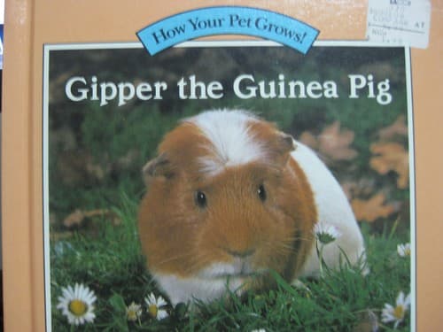 Tapa de Gipper the guinea pig
