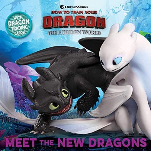Tapa de Meet the New Dragons
