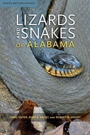 Tapa de Lizards and Snakes of Alabama