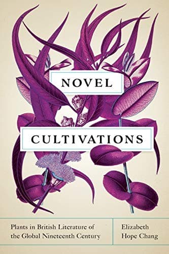 Tapa de Novel Cultivations