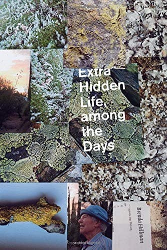 Tapa de Extra hidden life, among the days