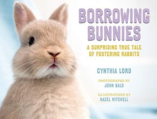 Tapa de Borrowing Bunnies