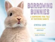 Tapa de Borrowing Bunnies