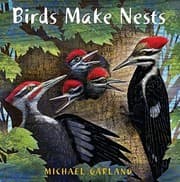 Tapa de Birds Make Nests