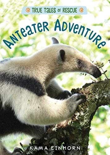 Tapa de Anteater Adventure