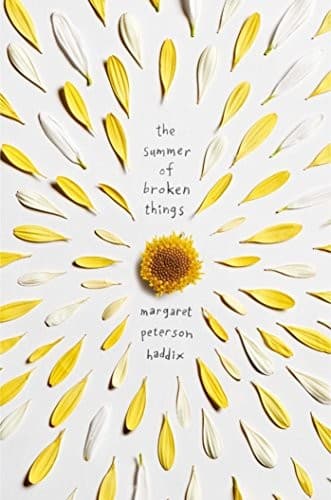 Tapa de Summer of broken things