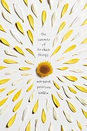 Tapa de Summer of broken things