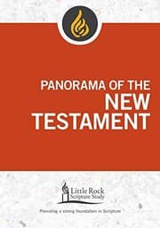 Tapa de Panorama of the New Testament