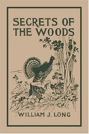 Tapa de Secrets of the Woods