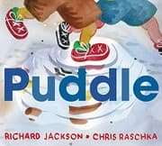 Tapa de Puddle