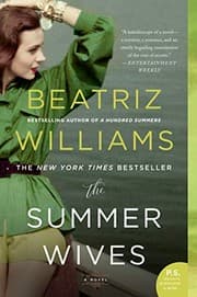 Tapa de The summer wives