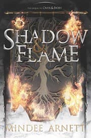 Tapa de Shadow & Flame
