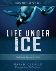 Tapa de Life Under Ice 2nd edition