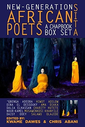 Tapa de New-Generation African Poets