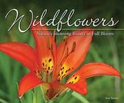 Tapa de Wildflowers