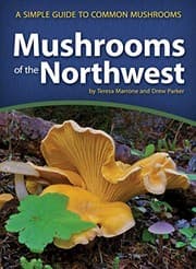Tapa de Mushrooms of the Northwest