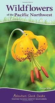 Tapa de Wildflowers of the Pacific Northwest