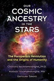 Tapa de Our Cosmic Ancestry in the Stars