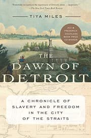 Tapa de The dawn of Detroit