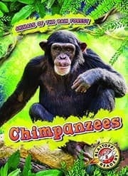 Tapa de Chimpanzees