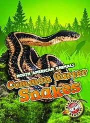 Tapa de Common Garter Snakes