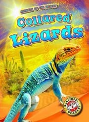 Tapa de Collared Lizards