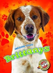 Tapa de Brittanys