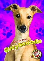 Tapa de Greyhounds