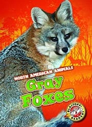 Tapa de Gray Foxes
