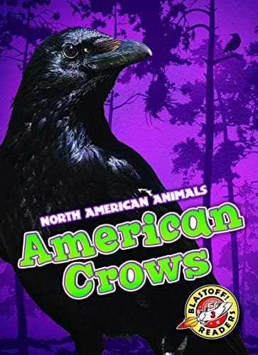 Tapa de American Crows