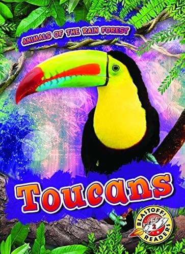 Tapa de Toucans