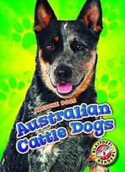 Tapa de Australian Cattle Dogs