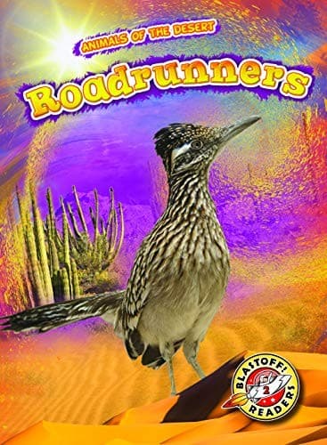 Tapa de Roadrunners