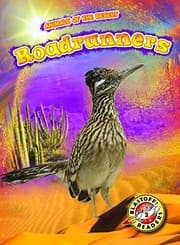 Tapa de Roadrunners