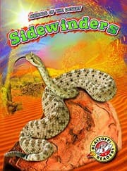 Tapa de Sidewinders