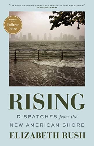 Tapa de Rising