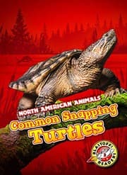 Tapa de Common Snapping Turtles