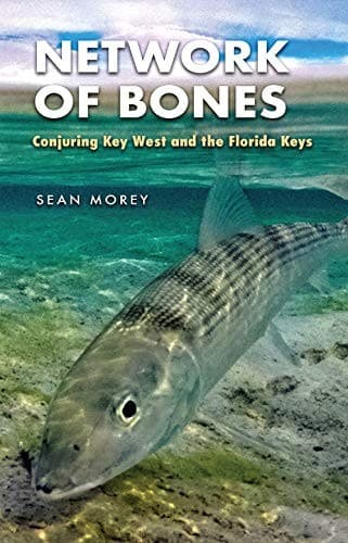 Tapa de Network of Bones