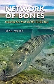 Tapa de Network of Bones